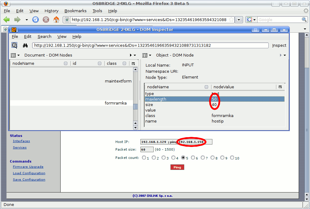 the hostname with an addictional ping